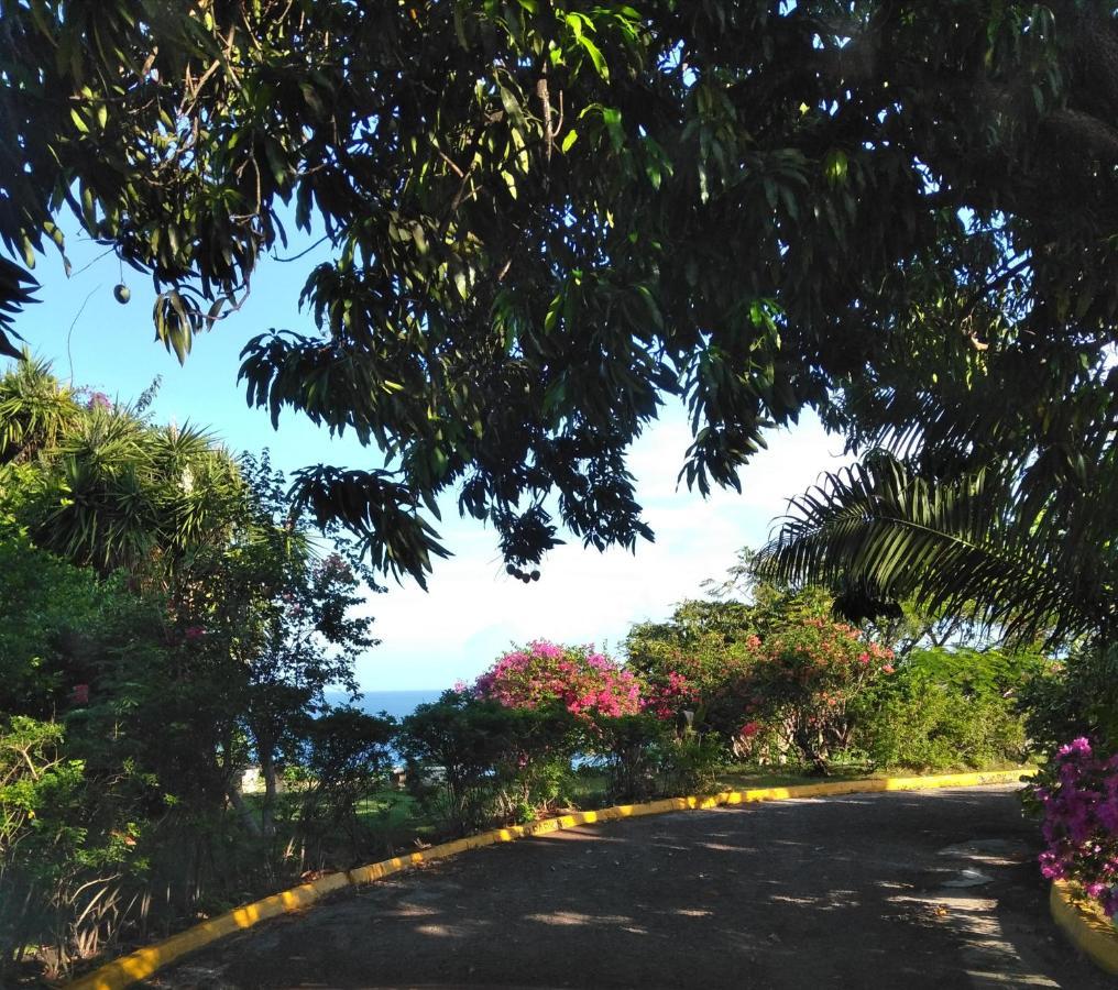 Apartamento Irresistible View-Mobay Club 1408 Montego Bay Exterior foto